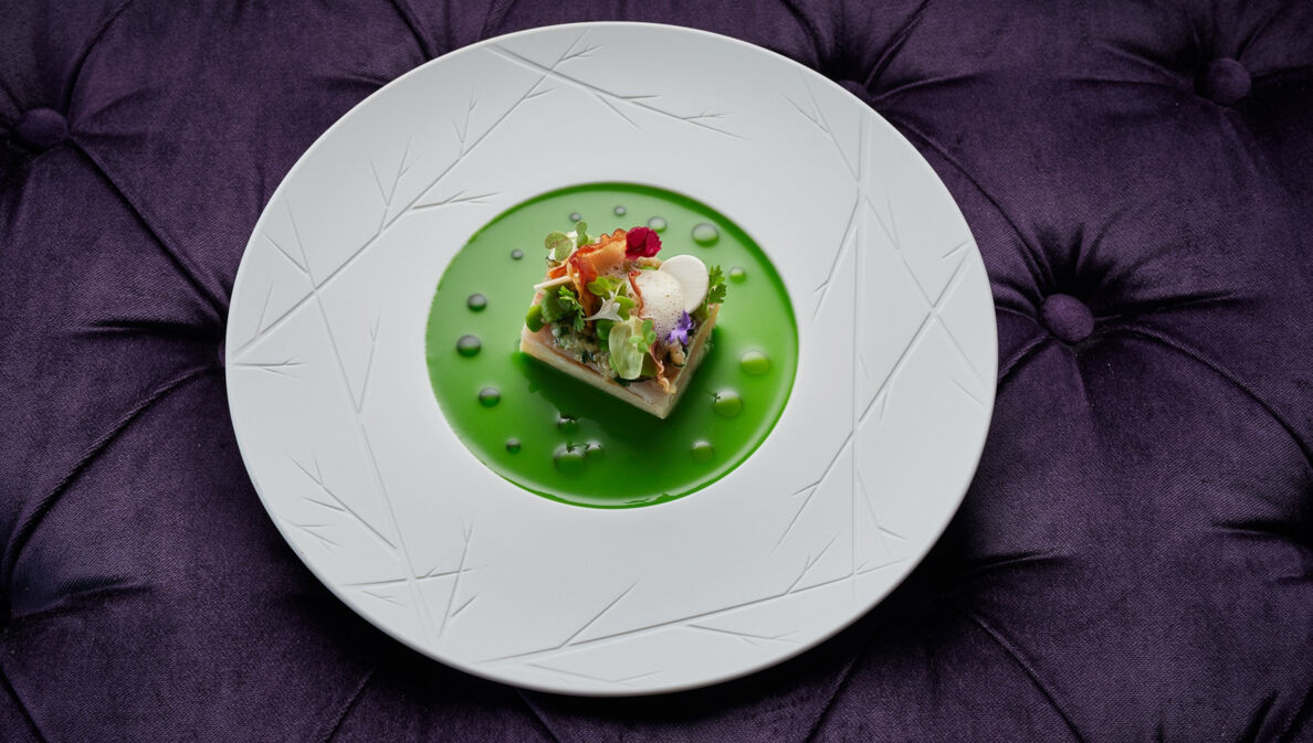 Ein weißer Teller mit einem kunstvoll dekorierten Stück Forelle auf einem edlen lila Samt-Untergrund