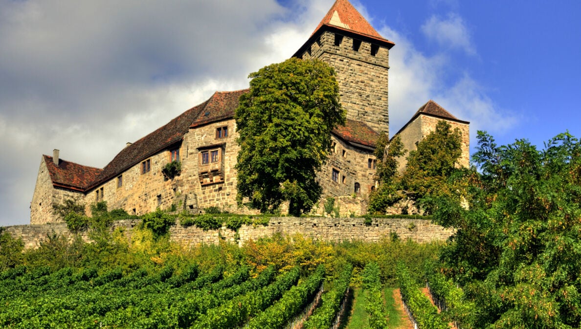 Die alte Burg Lichtenberg umgeben von Weinbergen