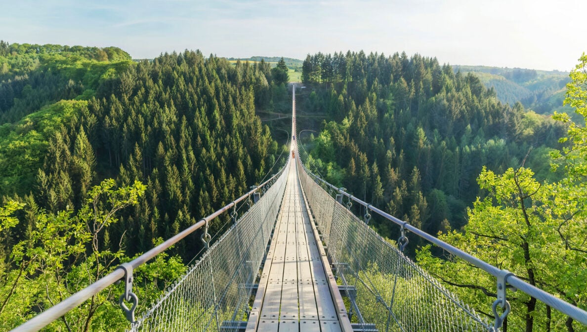 Bewaldeter Hügel Wald und Menschen, die über eine Hängeseilbrücke laufen