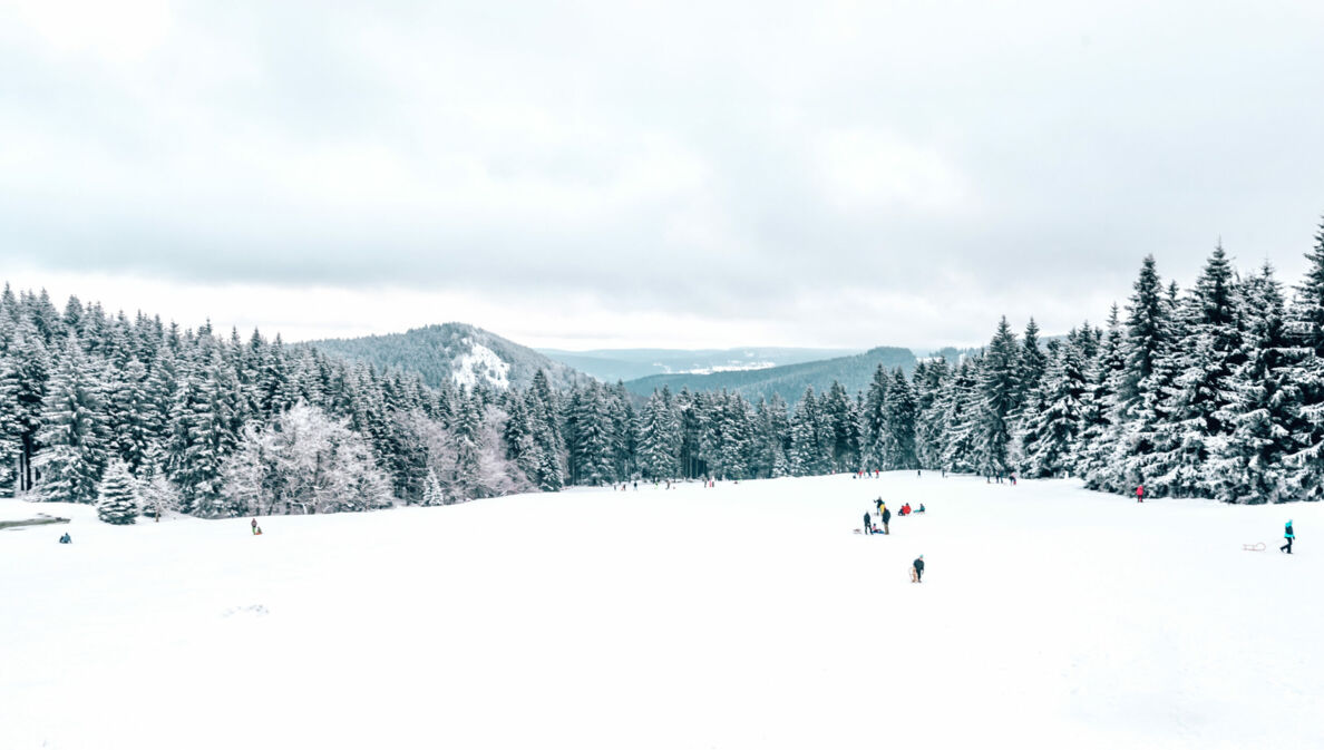 Eine schneebedeckte Freifläche mit Menschen, im Hintergrund Tannenwälder und Bergketten.