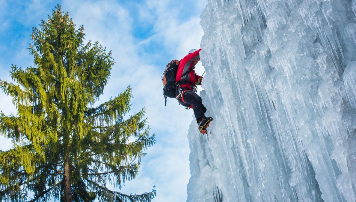 Ein Mensch klettert an einem gefrorenen Wasserfall hinauf, daneben eine große Tanne.