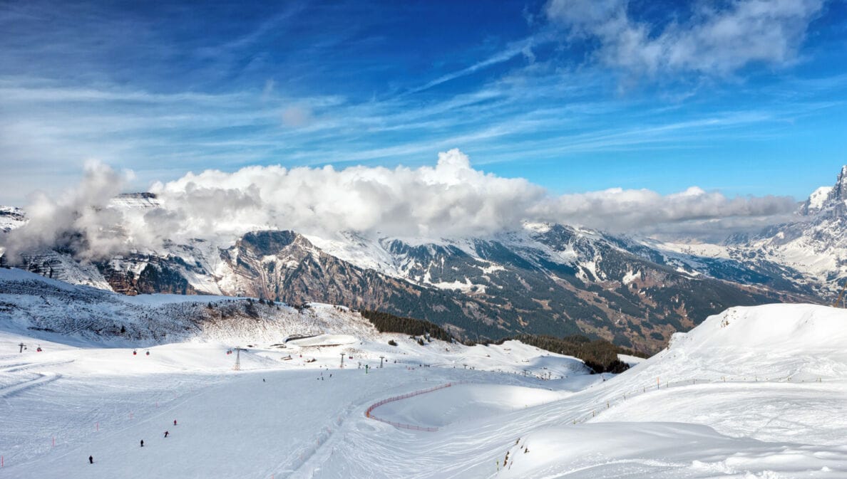 Blick von oben auf eine Piste mit Skifahrer:innen, im Hintergrund Berge