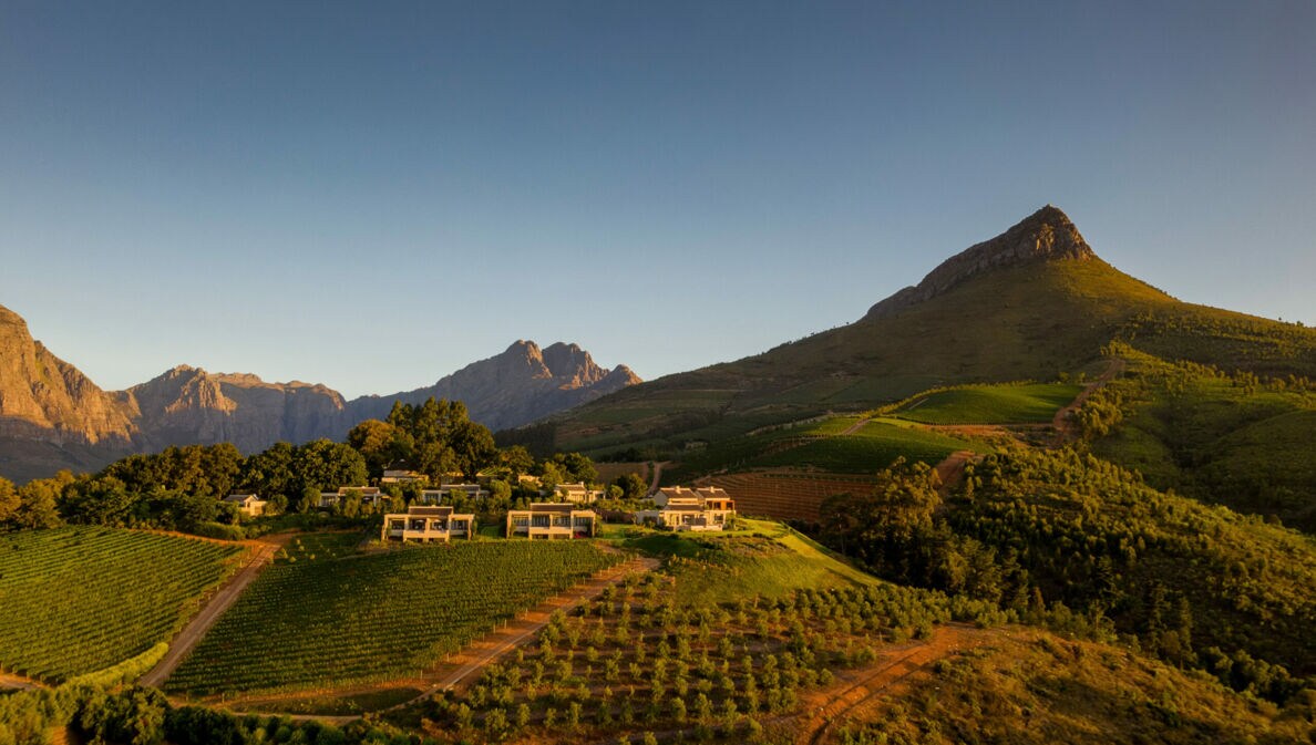 Das Anwesen eines Weinguts mit Weinbergen, eingebettet in eine grüne, hügelige Landschaft bei Abendsonne