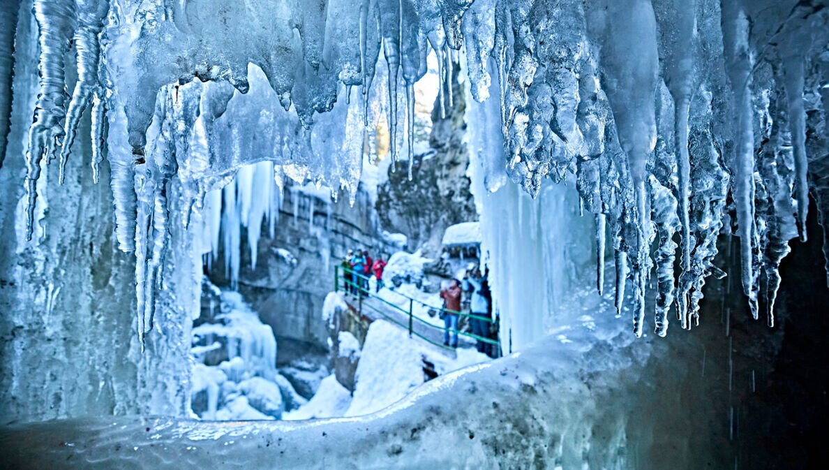 Eine Gruppe Touristen zwischen Eiszapfen.