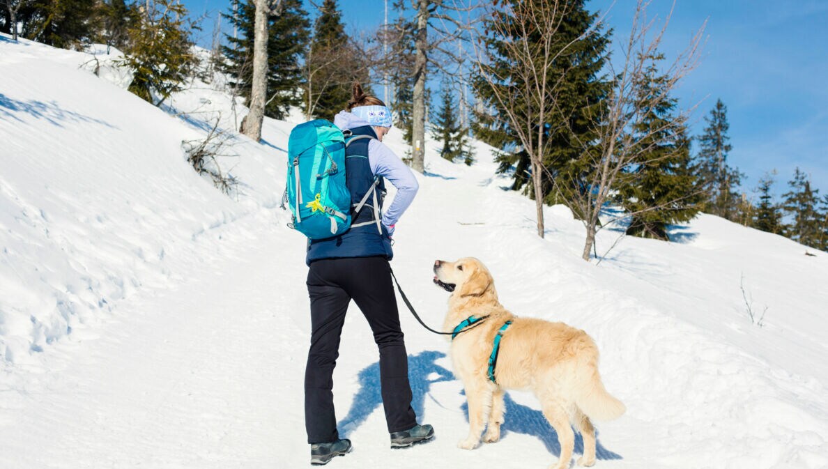 Frau mit Wanderrucksack und Hund im Schnee