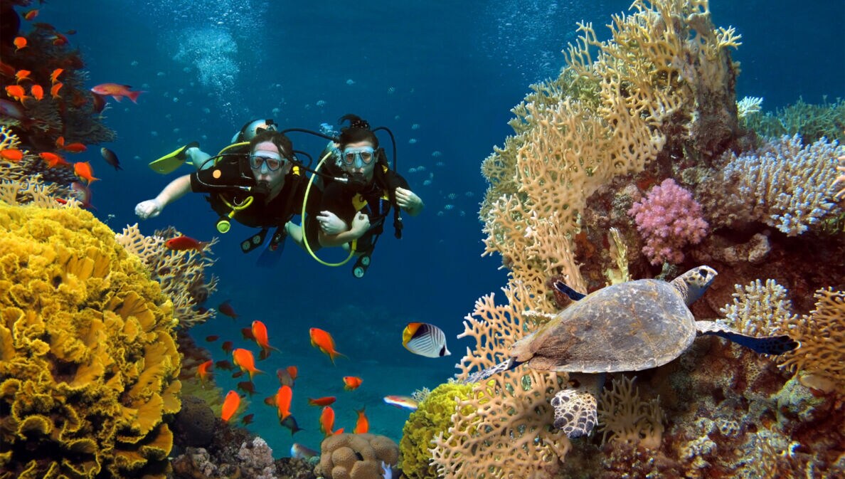 Zwei Taucherinnen erkunden ein Korallenriff