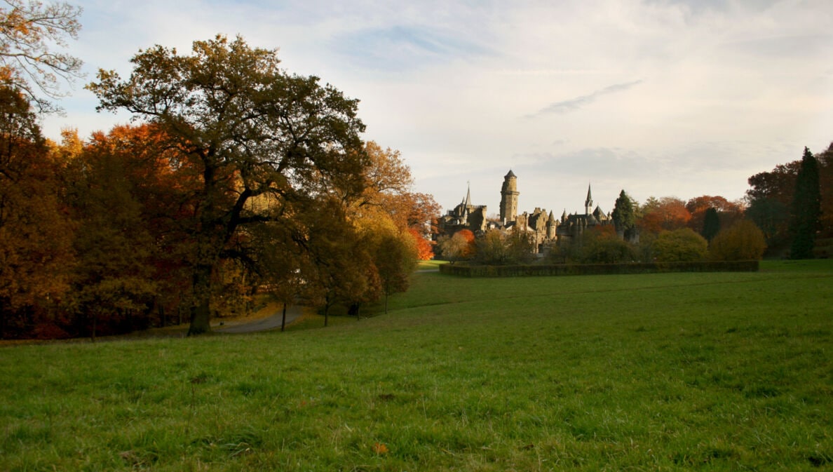 Ein Park, im Hintergrund eine Burg