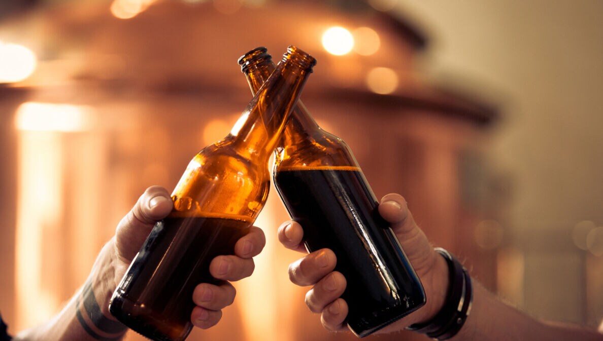 Zwei Hände, die mit Bierflaschen anstoßen