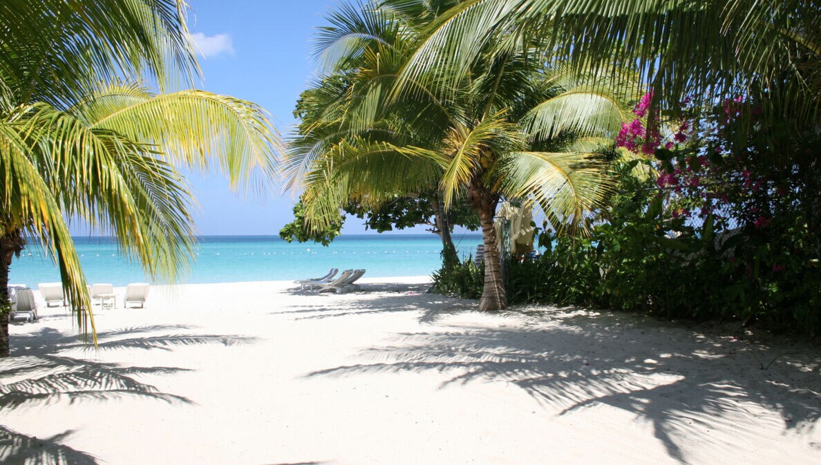 Ein weißer Strand mit Palmen und türkisfarbenen Meer im Hintergrund