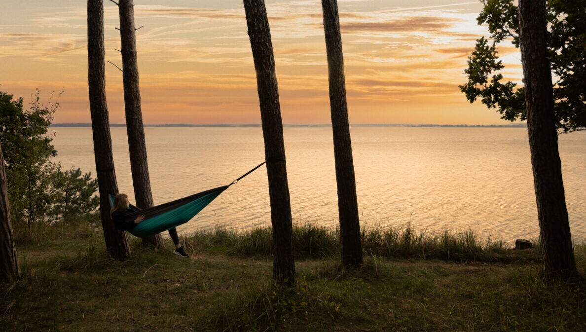 Eine Person in einer Hängematte zwischen Bäumen an einem Gewässer