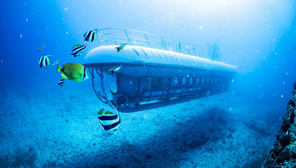 Ein U-Boot unter Wasser umgeben von bunten Fischen.