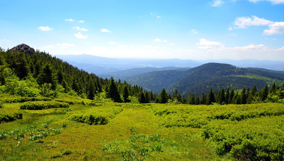 Naturpark Oberer Bayerischer Wald: Wandern im Urgebirge | AMEXcited