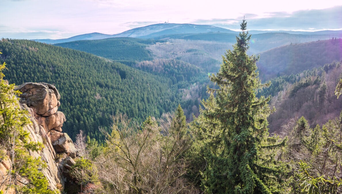 Blick über den Harz, im Hintergrund der Brocken