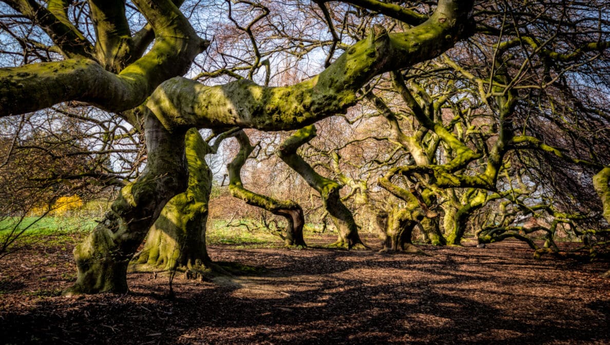 Naturpark Weserbergland 1.000 Quadratkilometer Natur AMEXcited