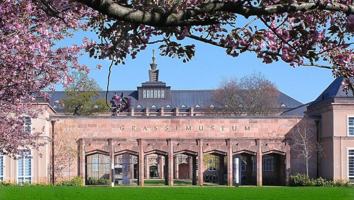 Blick auf das Grassi-Museumsgebäude, eingerahmt von Kirschblütenzweigen
