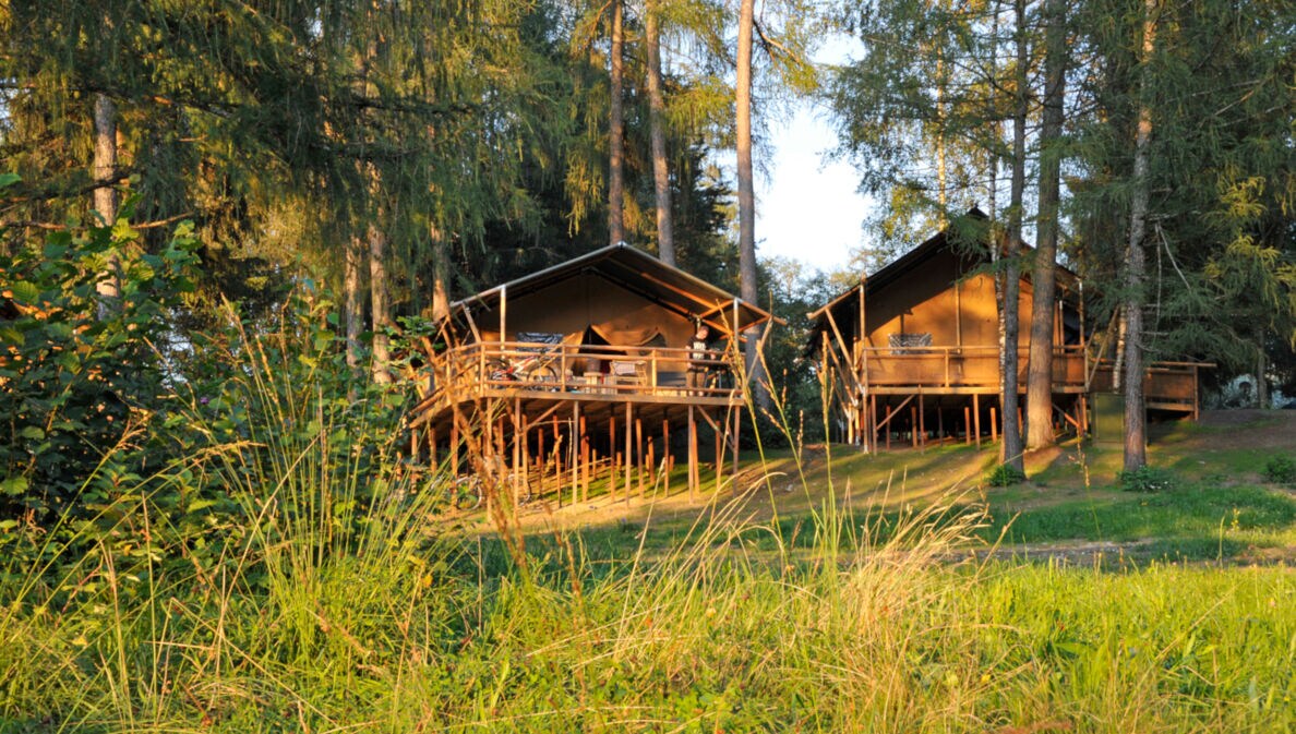 Holzhäuser auf Stehlen bei Abendsonne im Wald