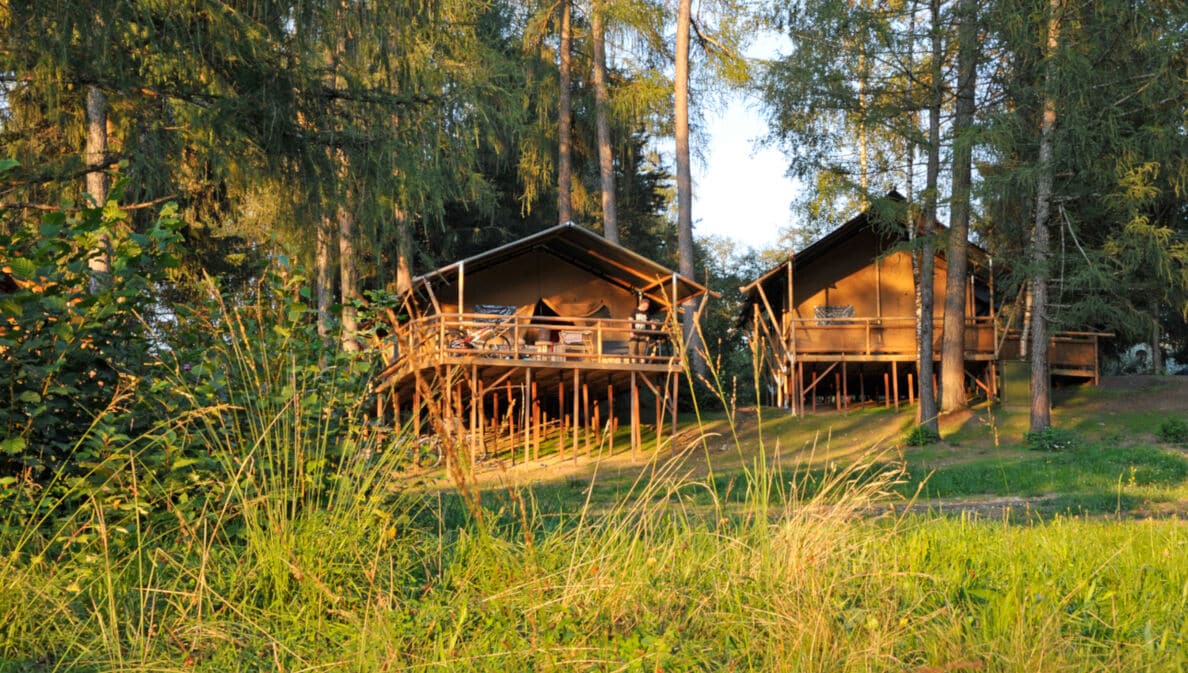 Holzhäuser auf Stehlen bei Abendsonne im Wald