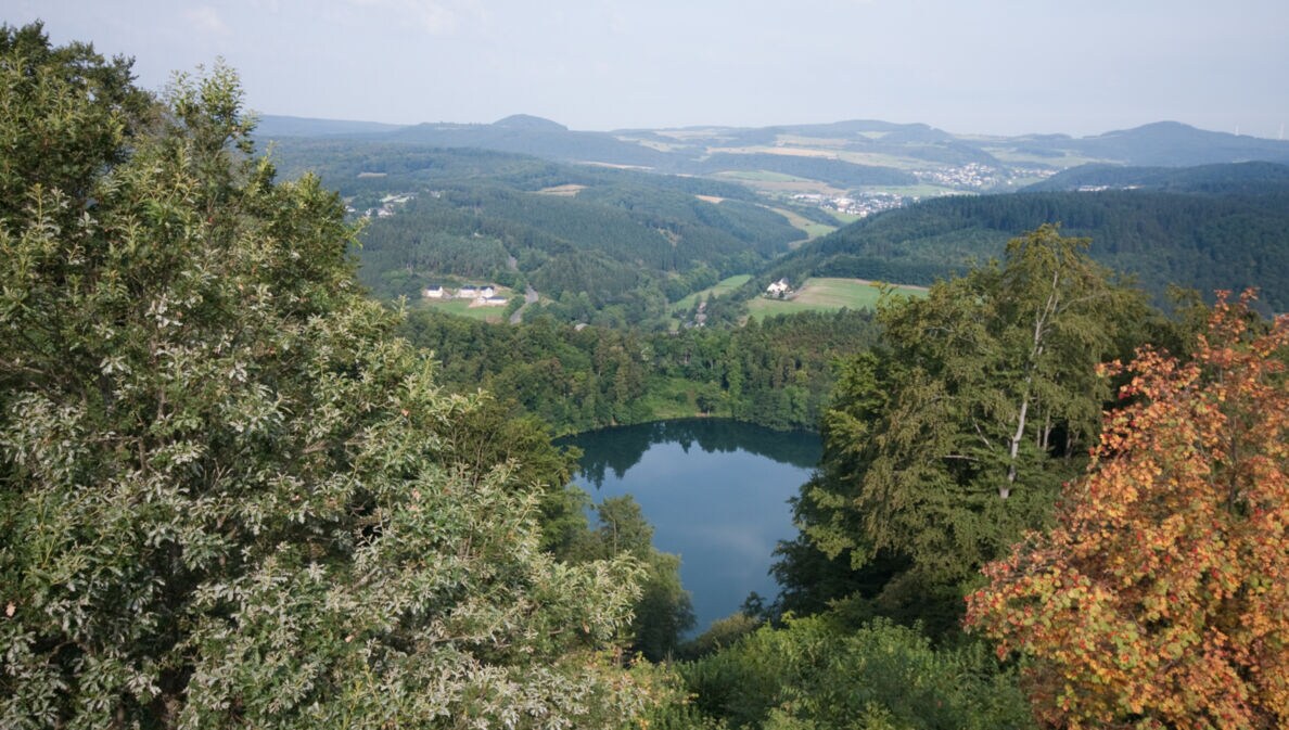 Blick über eine sommerliche Landschaft mit Seen