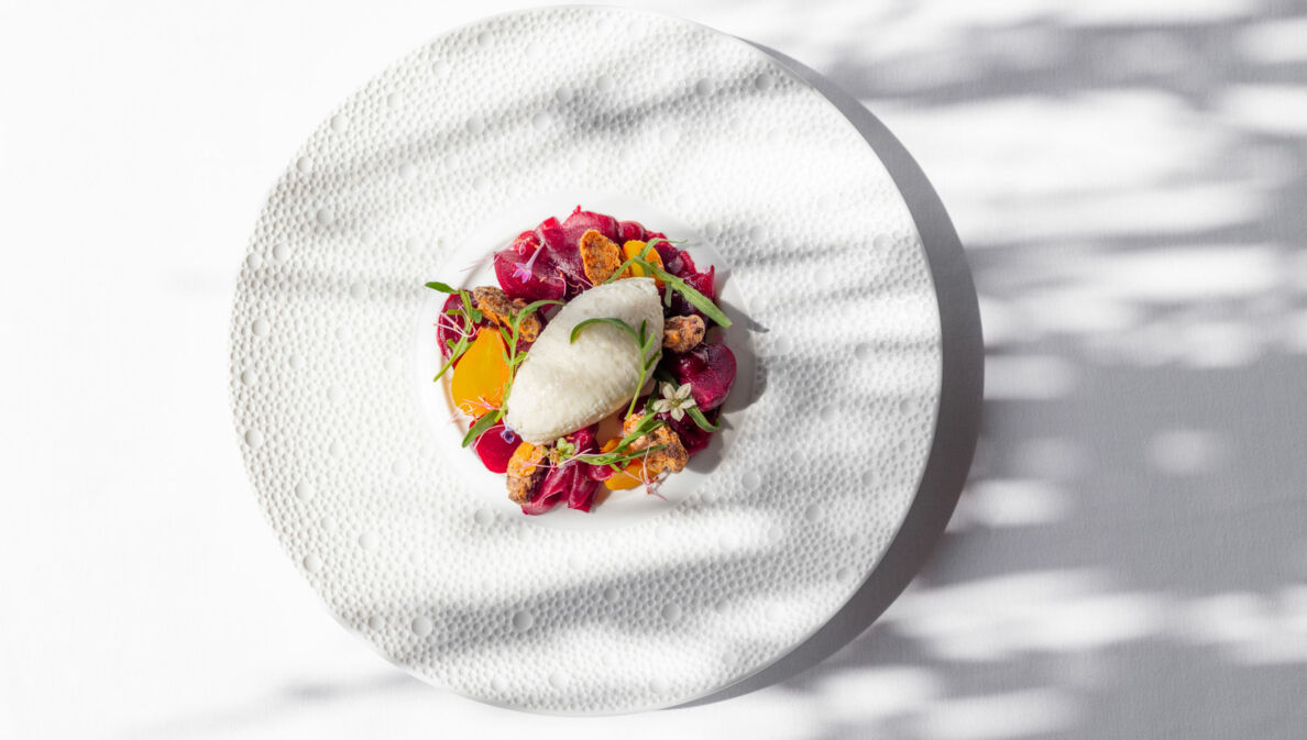 Ein elegant drapiertes Sternegericht aus Rote Bete und Mousse von Ziegenkäse auf einem weißen großem Teller.