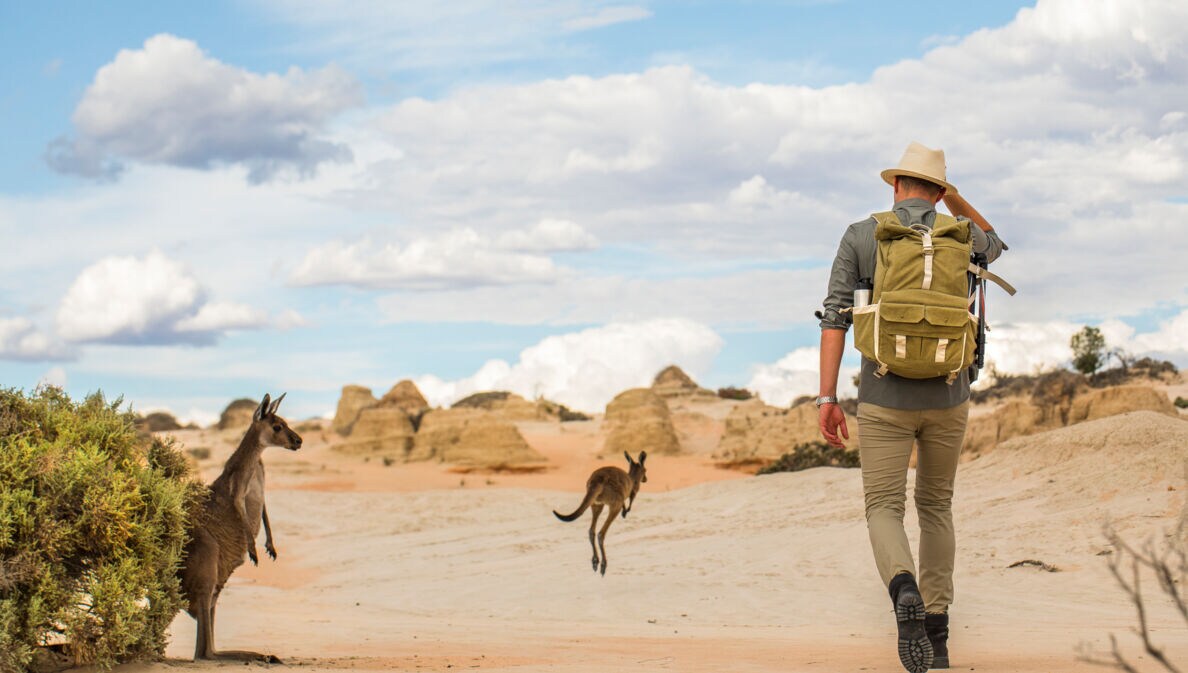 Rückansicht eines Mannes mit Rucksack, der durch eine Wüstenlandschaft mit Kängurus im Outback Australiens wandert