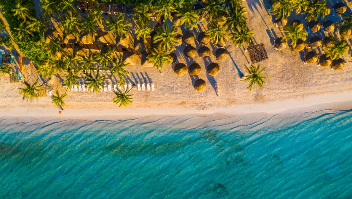 Tropischer Sandstrand mit Palmen und Badeliegen aus der Vogelperspektive