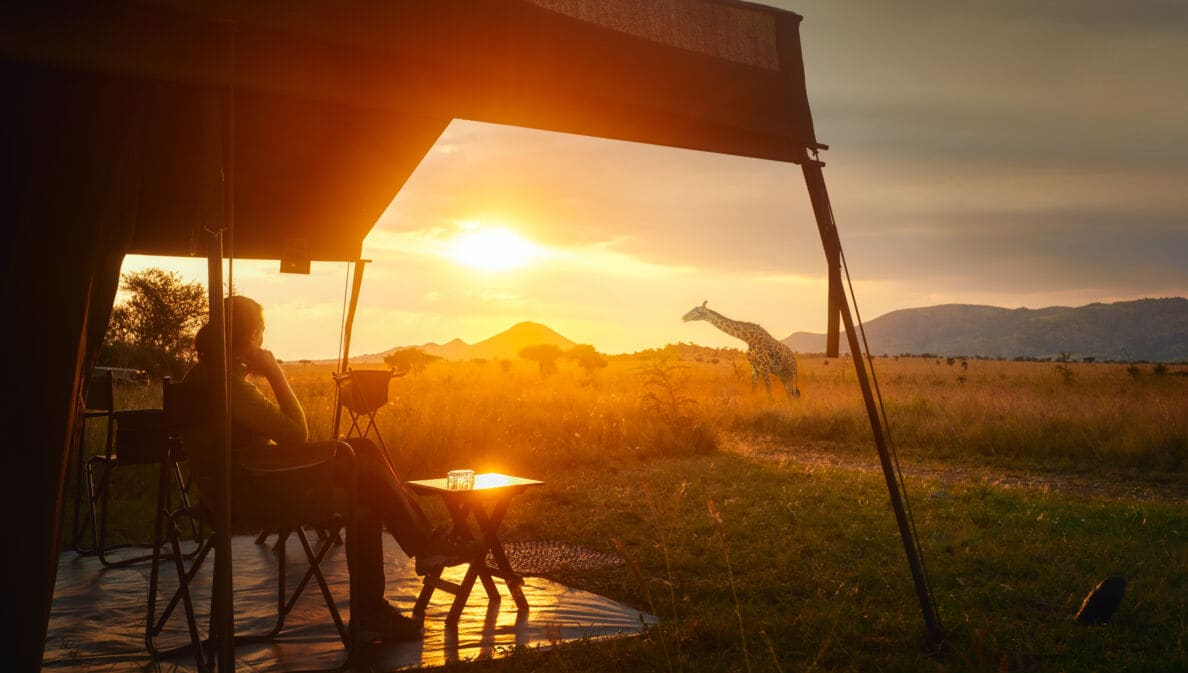 Eine Frau sitzt entspannt in einem Luxuszelt in der afrikanischen Savanne im Serengeti-Nationalpark und beobachtet eine Giraffe im Sonnenuntergang