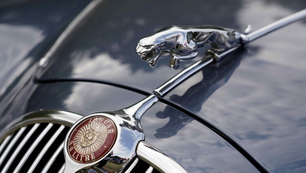 Nahaufnahme der Kühlerfigur eines Jaguar-Modells.