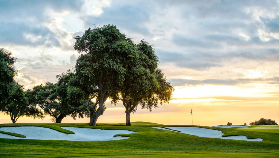 Ein Golfplatz mit Bäumen bei Sonnenuntergang