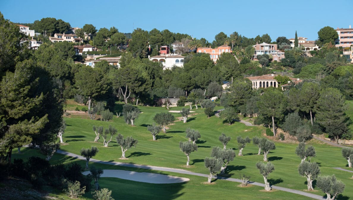 Ausschnitt des Golfklubs mit einem Bunker und vielen kleinen Olivenbäumen, vor der Kulisse des Ortes Bendinat
