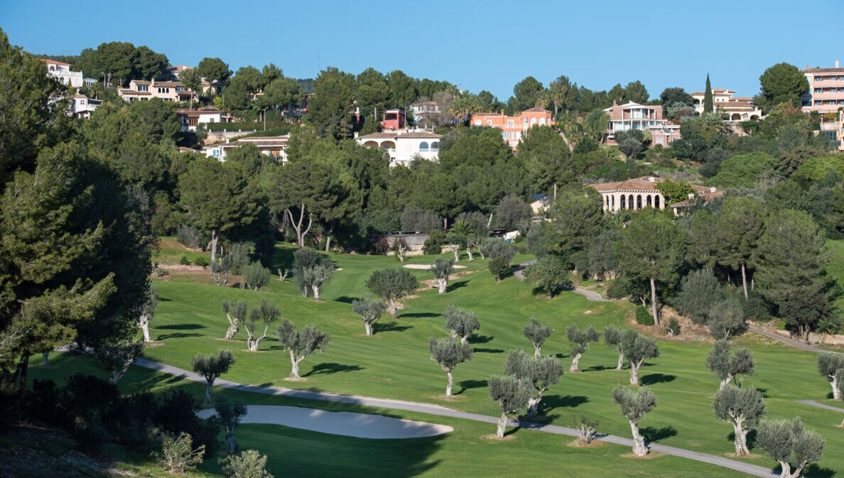 Ausschnitt des Golfklubs mit einem Bunker und vielen kleinen Olivenbäumen, vor der Kulisse des Ortes Bendinat