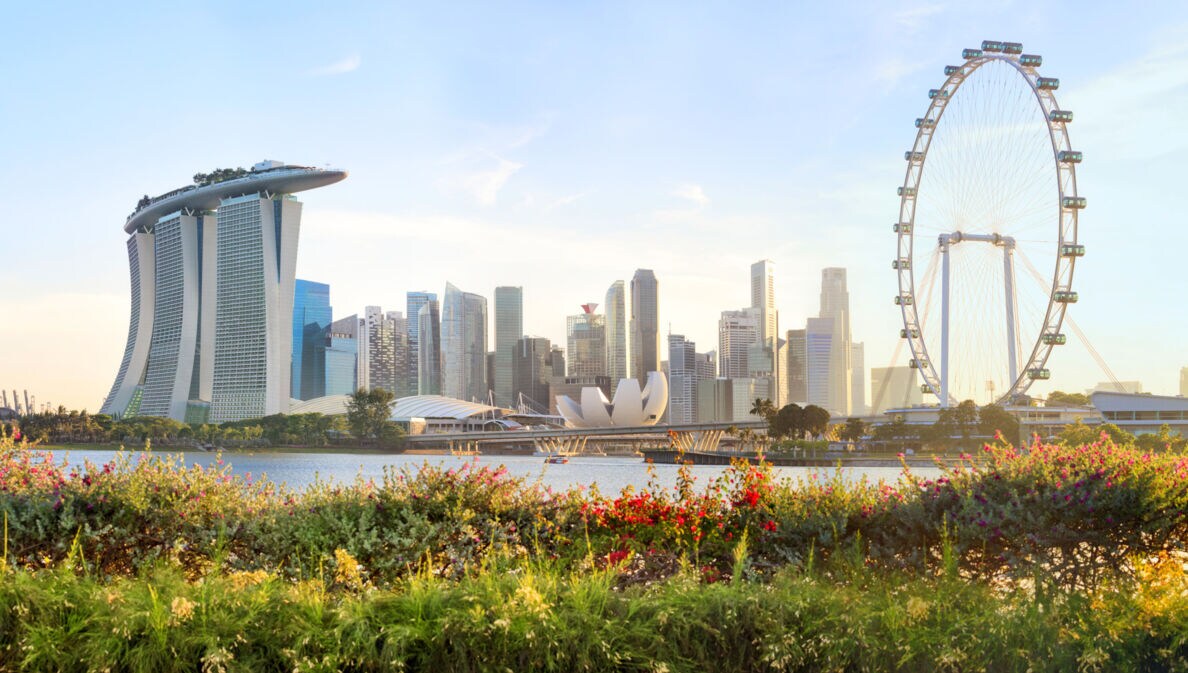 Skyline von Singapur mit Riesenrad, im Vordergrund ein begrünter Hügel mit Blumenwiese