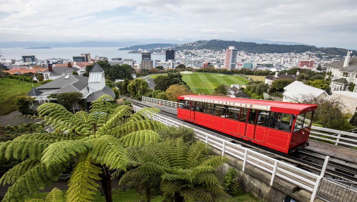 Blick auf Wellington, im Vordergrund eine alte rote Straßenbahn