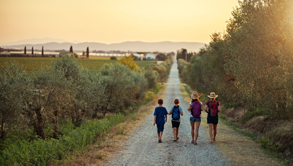 Zwei Erwachsene und zwei Kinder wandern in der Abendsonne einen Kiesweg in der Natur entlang