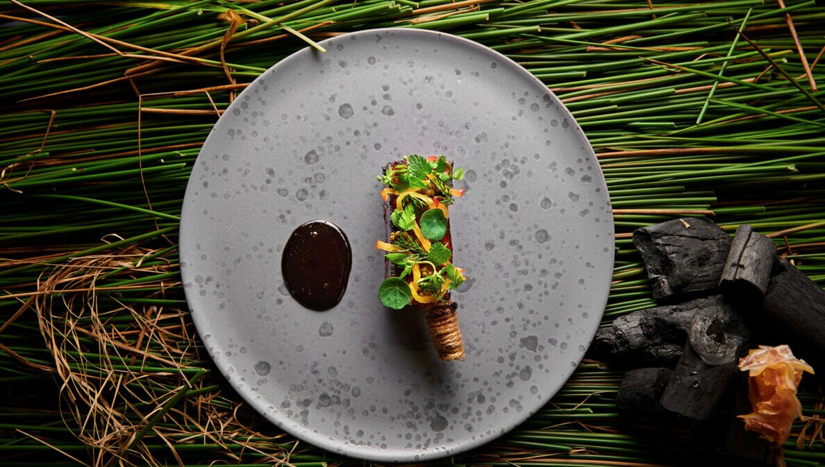 Aufsicht eines minimalistischen, vegetarischen Gerichtes auf einem grauen Teller, im Hintergrund grünes Schilfrohr.