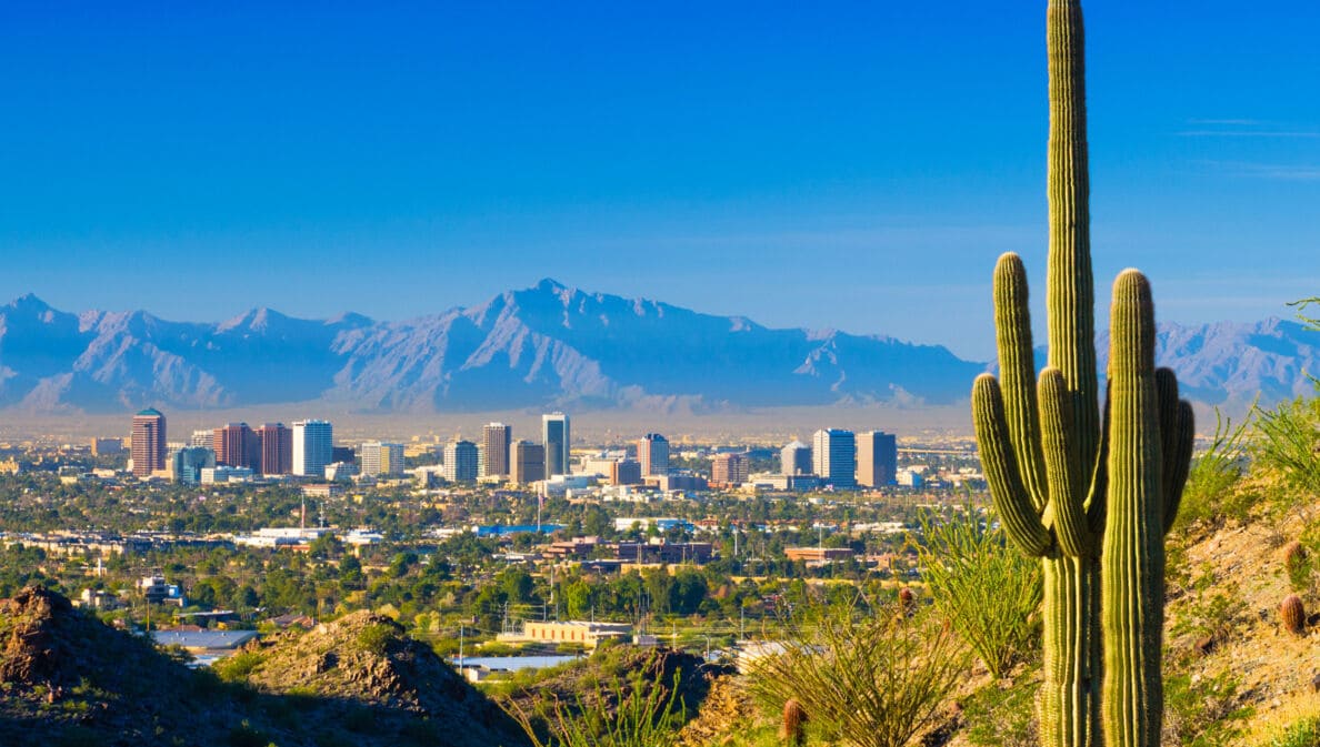 Skyline von Phoenix mit Hochhäusern vor Gebirgspanorama, im Vordergrund ein Kaktus auf einem Hügel.