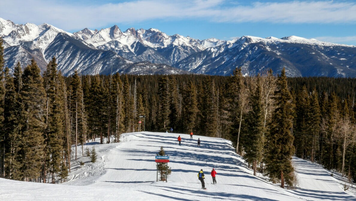 Skifahrer auf einer breiten, schneebedeckten Piste umgeben von hohen Tannen und Bergen im Hintergrund unter blauem Himmel