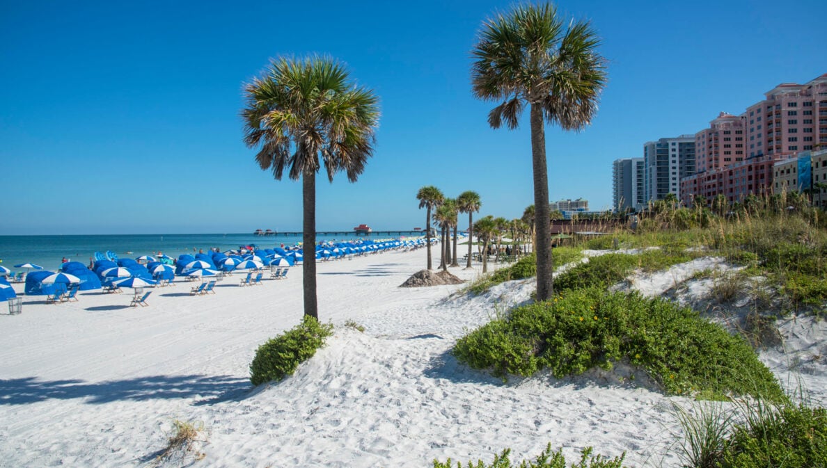 Blau-weiße Sonnenschirme und Cabanas sowie Palmen schmücken den puderweißen Strand von Clearwater, im Hintergrund thronen Hotelanlagen und Hochhäuser.
