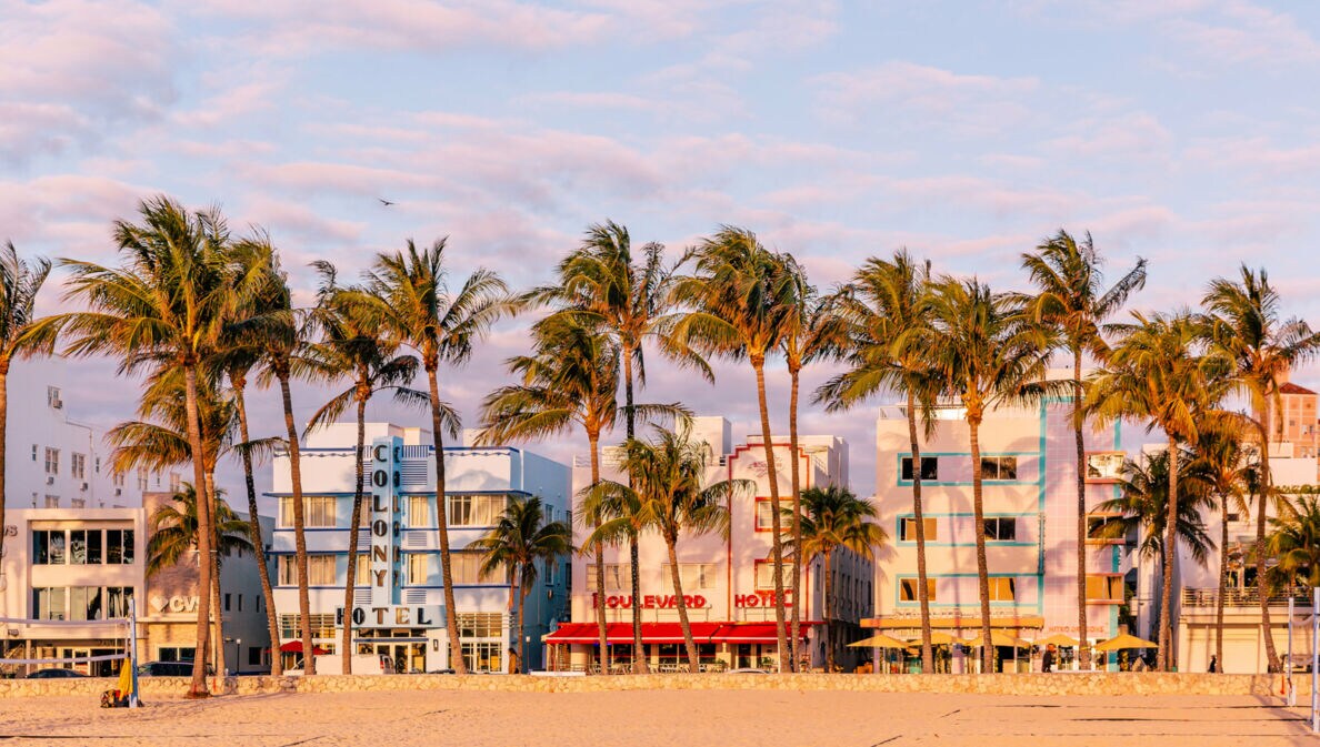 Blick auf die Häuser am Ocean Drive mit Strand und Palmen im Vordergrund.