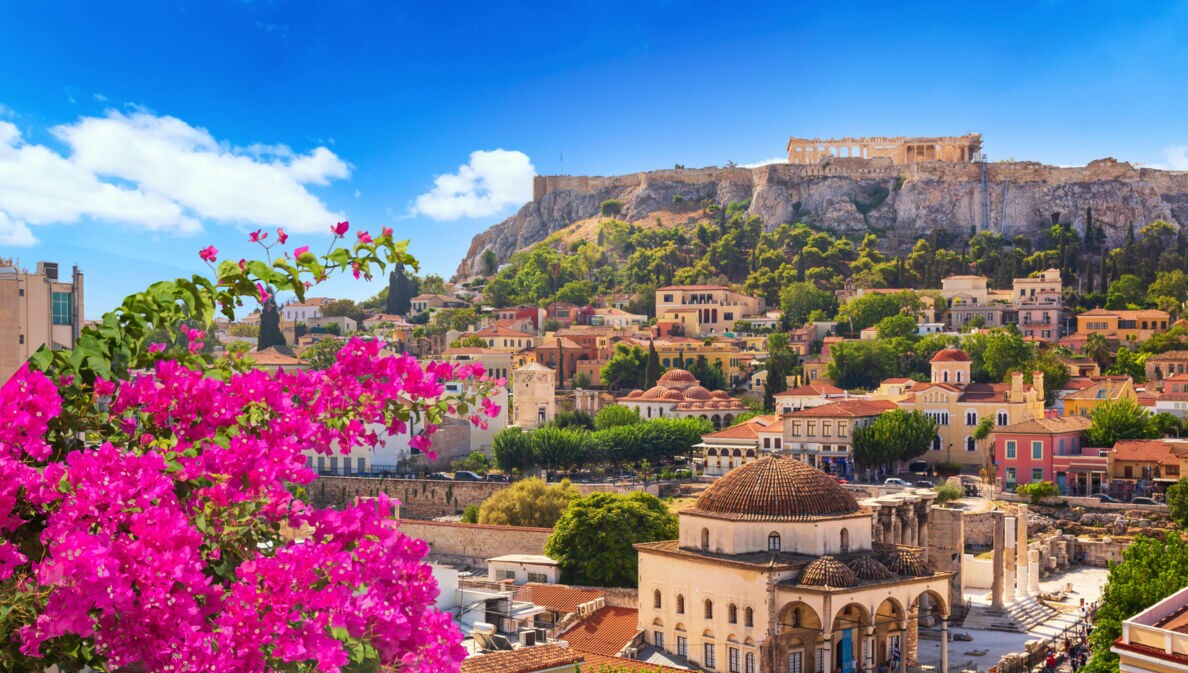 Blick auf die Akropolis von Athen mit blühendem Bougainvillea im Vordergrund und historischen Gebäuden darunter
