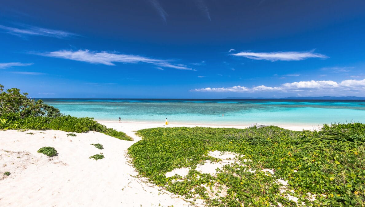 Weitläufiger weißer Sandstrand mit grünen Pflanzen am türkisfarbenen Meer unter blauem Himmel.