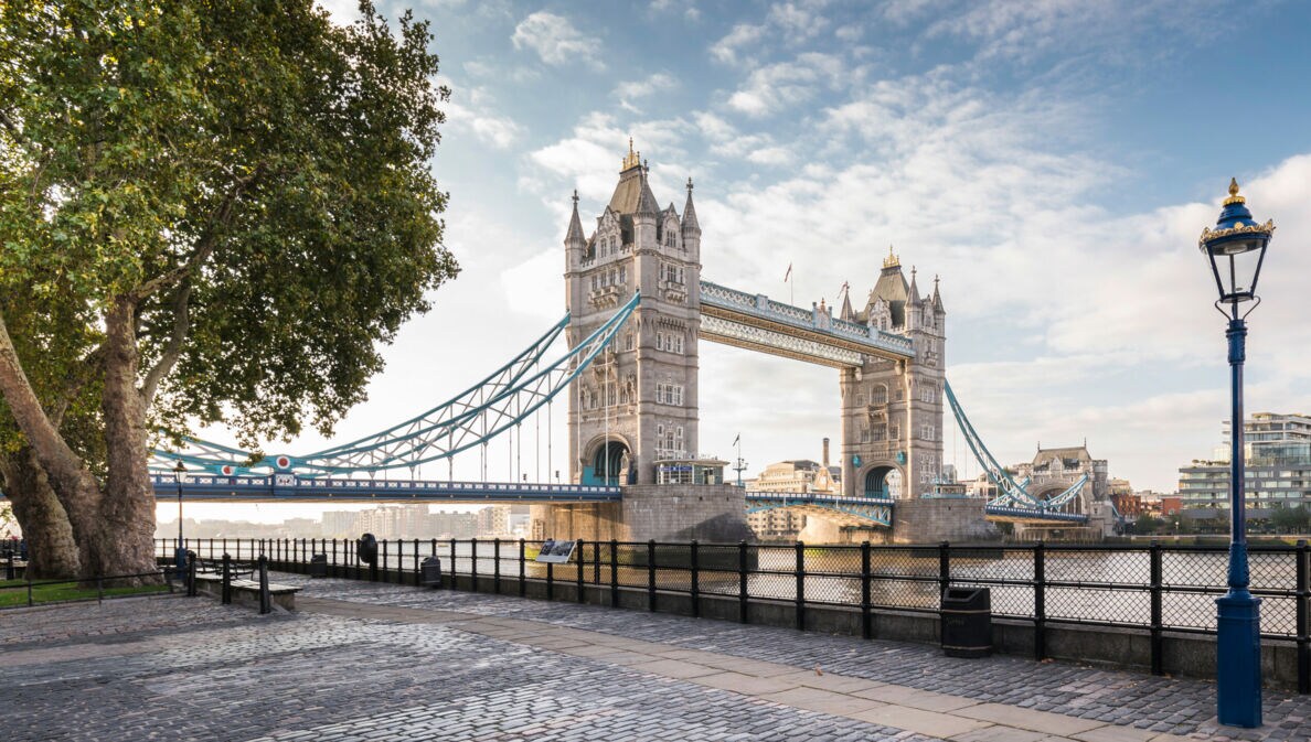 Tower Bridge über der Themse mit zwei markanten Türmen und blau-weißen Hängebrückenabschnitten, Blick vom Ufer mit Bäumen und Laterne.