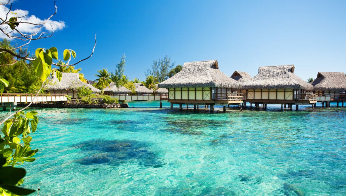 Überwasserbungalows mit Strohdächern über klarem, türkisfarbenem Wasser unter blauem Himmel