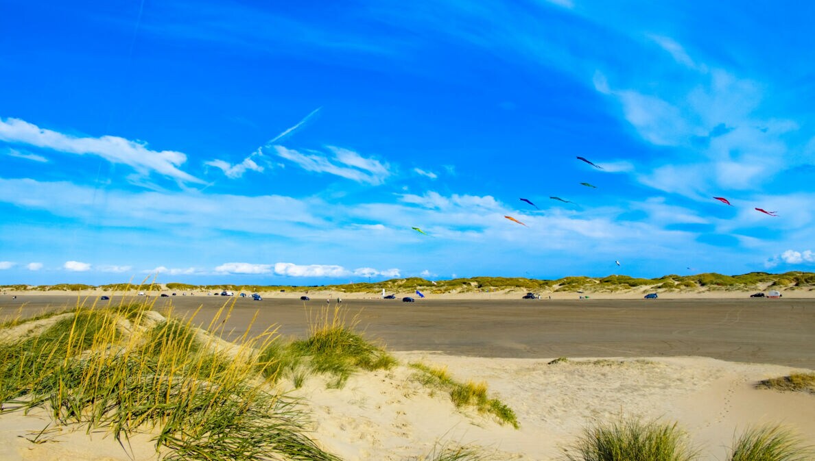 Bunte Drachen am blauen Himmel des Lakolk Strands auf der dänischen Insel Rømø.