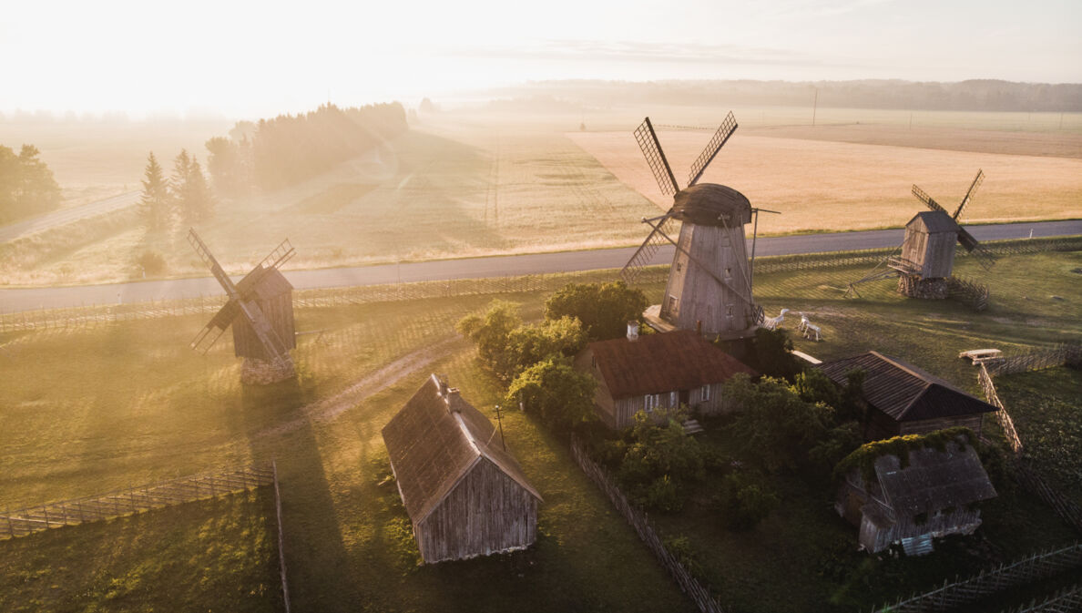 Ein ländliches Gebiet mit drei Windmühlen, Häusern und viel Grün im Sonnenschein.