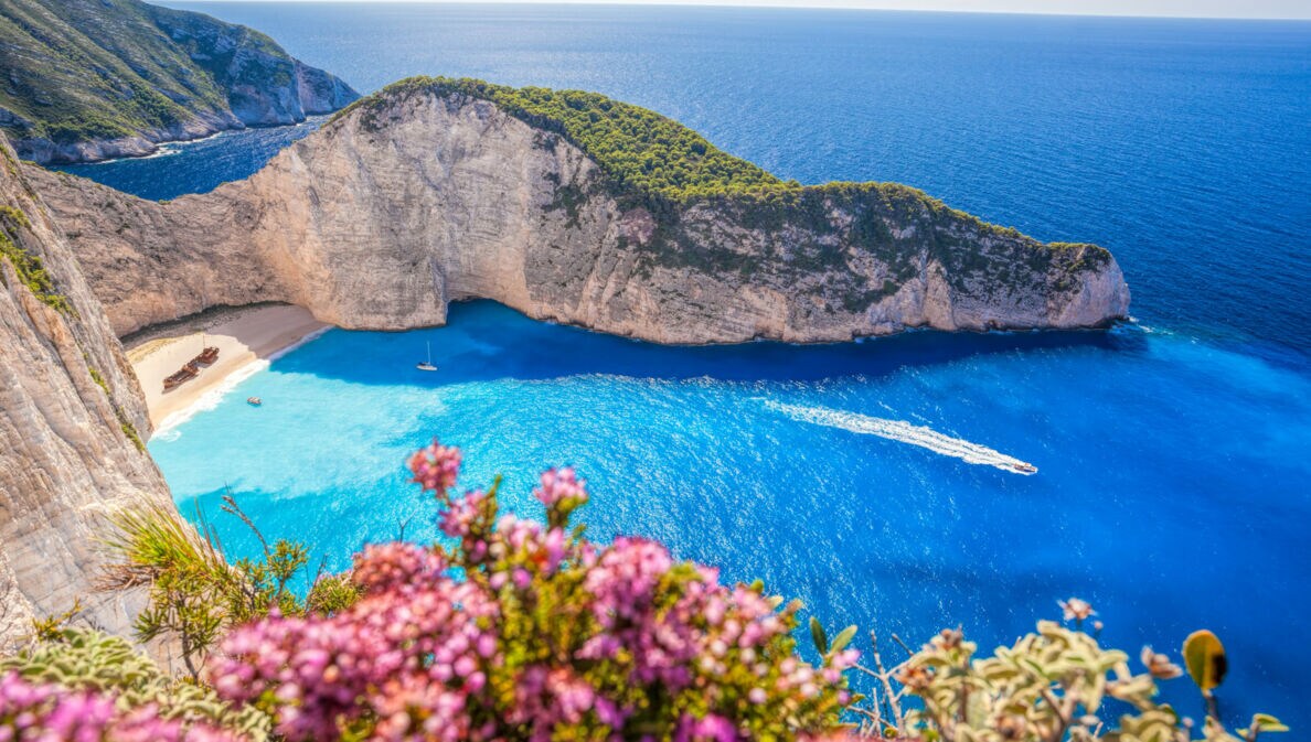 Bucht mit weißem Sandstrand und gestrandeten Schiffsrumpf, umgeben von steilen Klippen und blauem Meer, violette Blumen im Vordergrund