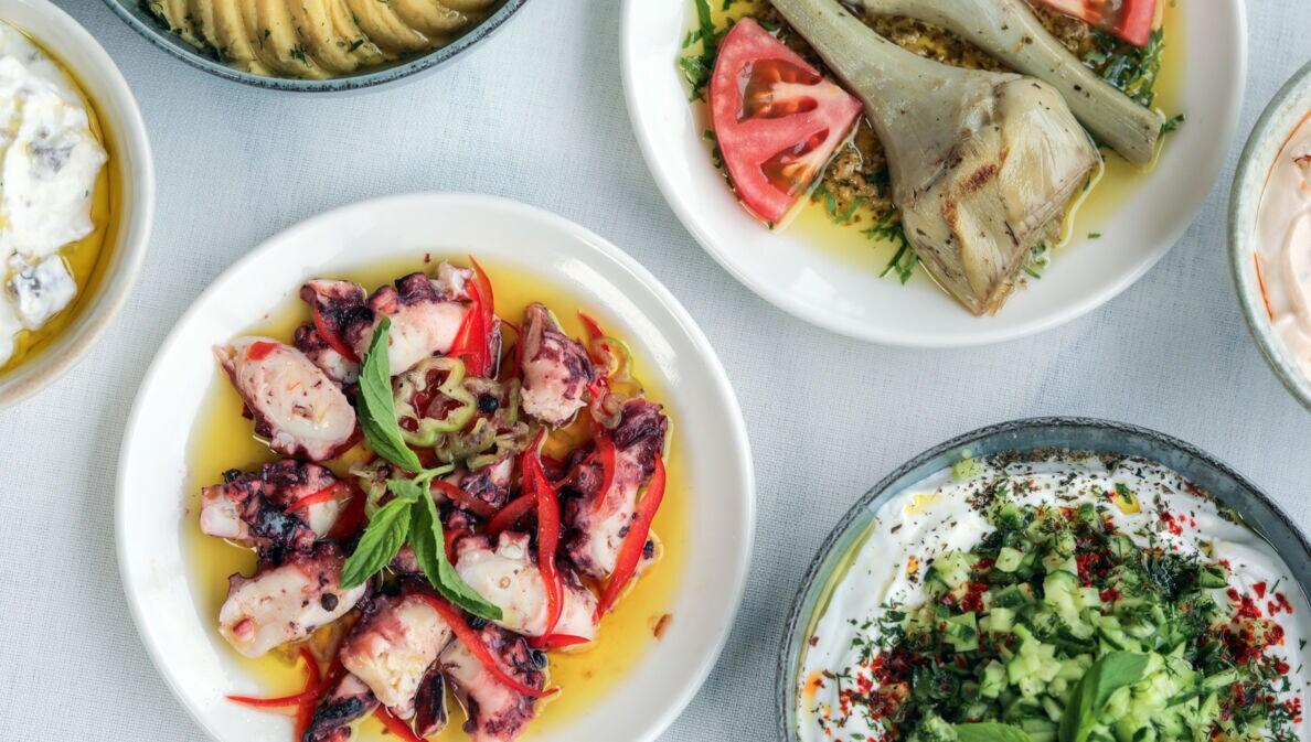 Verschiedene mediterrane Vorspeisen auf Tellern, darunter gegrillter Oktopus mit roten Paprikastreifen, Artischocken mit Tomatenscheiben und Kräutern, Gurkensalat und weitere Dips.