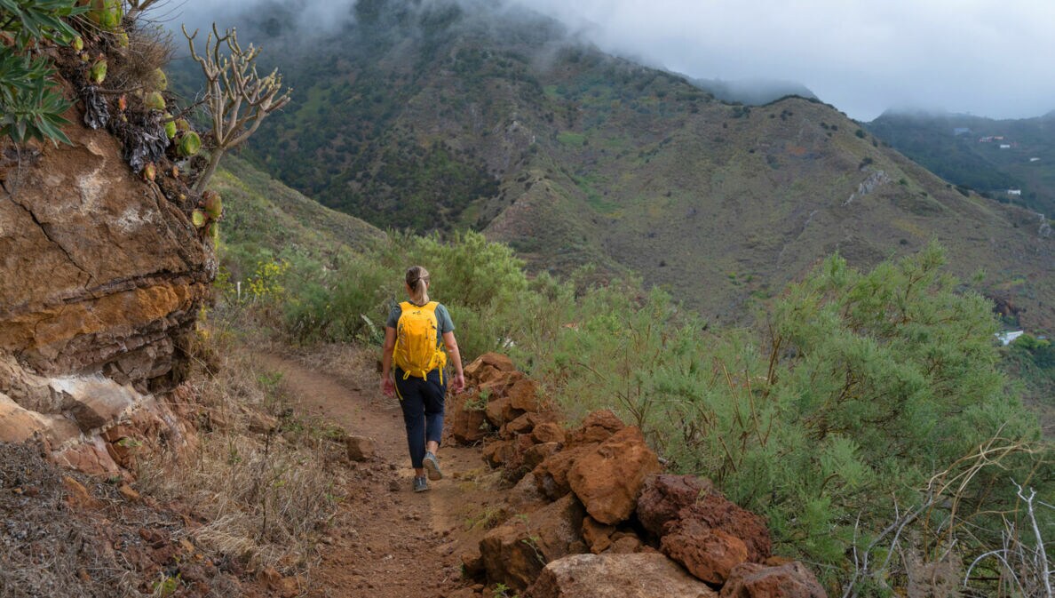 Eine Person mit gelbem Rucksack geht auf einem Pfad in bergiger Landschaft auf Teneriffa. Der Himmer ist bewölkt, am Wegesrand ist grüne Vegetation.