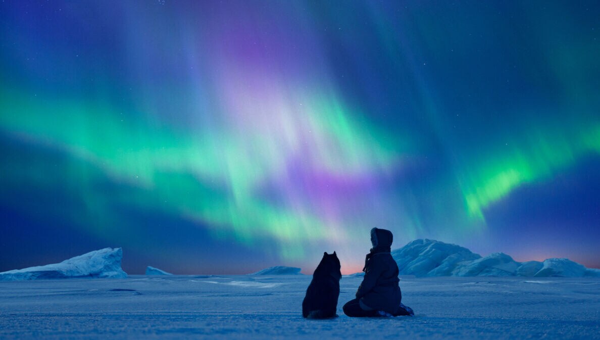 Person und Hund sitzen auf schneebedecktem Boden und blicken auf grün-violette Nordlichter am Nachthimmel in Finnland.
