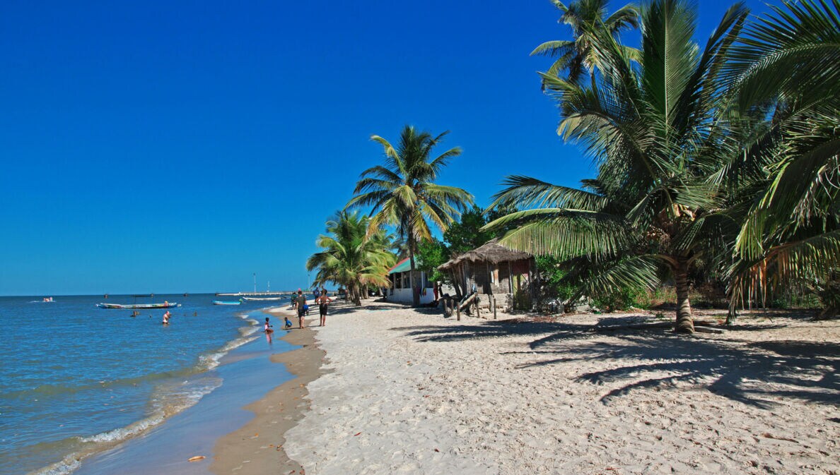 Personen an einem tropischen Sandstrand mit Palmen unter blauem Himmel.