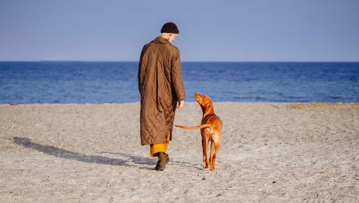 Rückansicht einer Frau im langen Steppmantel neben einem Hund am Sandstrand bei Sonnenschein.